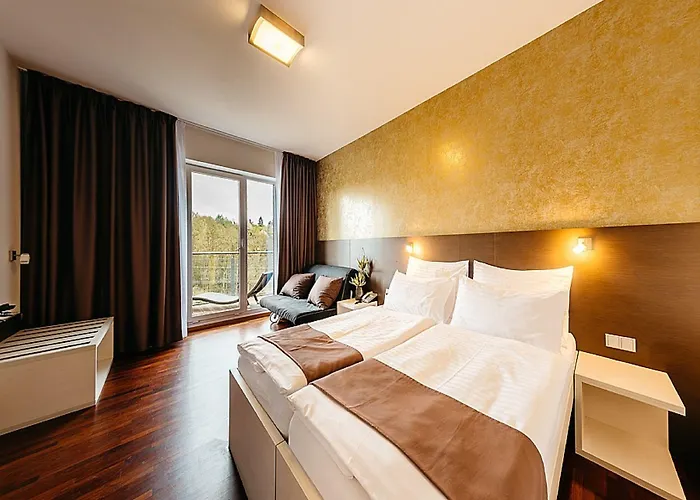 Hotel Maximus