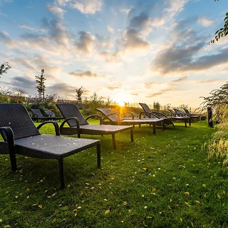 Maximus ברנו
