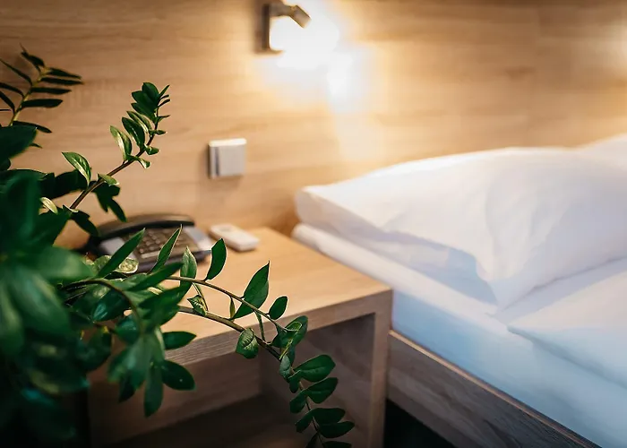Hotell Maximus 4*