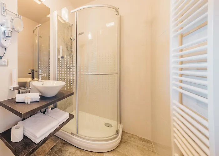 Maximus Hotel 4*