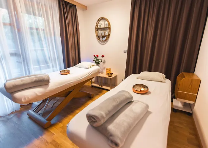 Hotell Maximus Brno