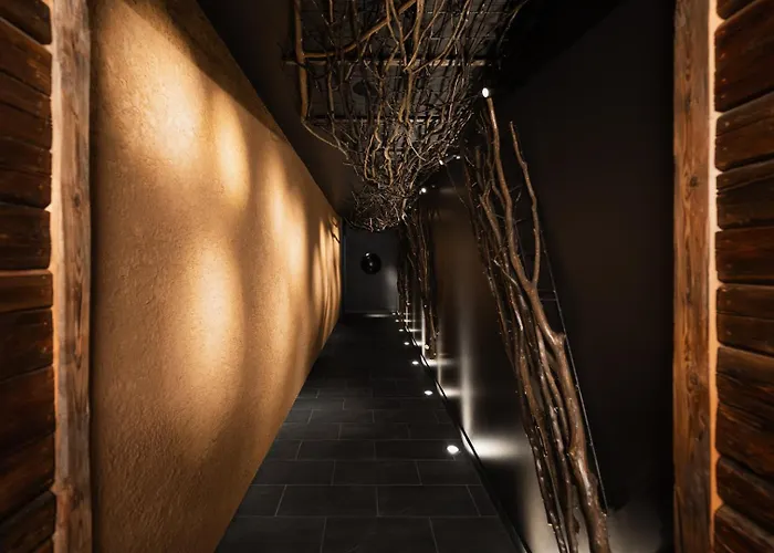 Maximus 4* Brno